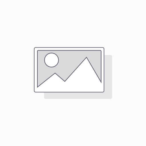 20 in. Rail (Set of 4)